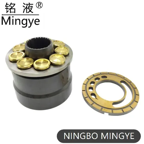 Eaton Vickers Pve19, Pve21, Pve27, Pve35, Pve47 Hydraulic Piston Pump Parts with Piston Shoe Cylinder Block Retainer Plate Oil Pump