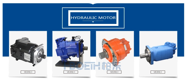 Linde Hydraulic Pump Parts Repair Kit MPV45-01 MPV63-01