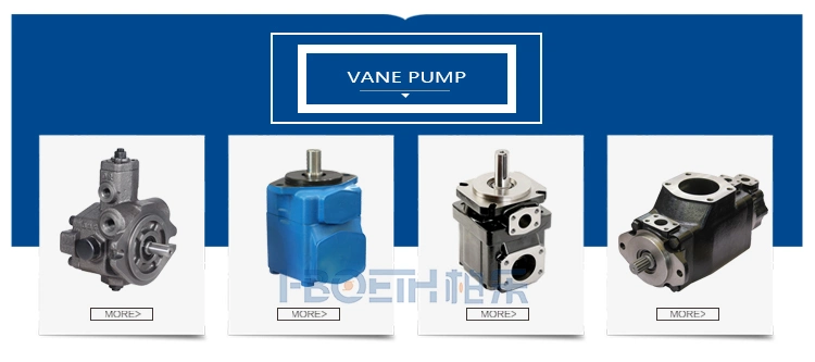 Linde Hydraulic Pump Parts Repair Kit Bmv35/55/75/105/135/140