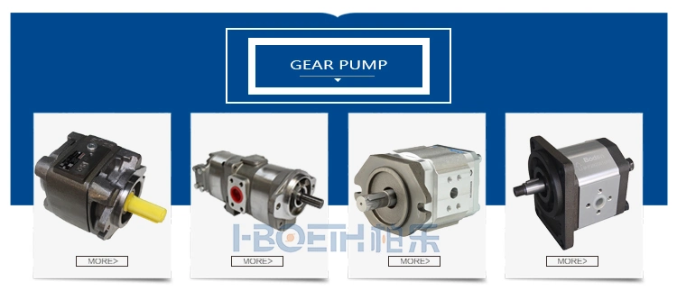 Jeil Hydraulic Pump Parts Repair Kit Jmv44/22 45/28 53/34 64 53/31 76/45 147/95 155/89 173/101 185/114 168/102 275/172 Travel