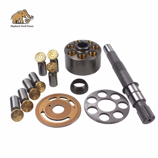 Paker Hydraulic Pump Repart Part P2-060