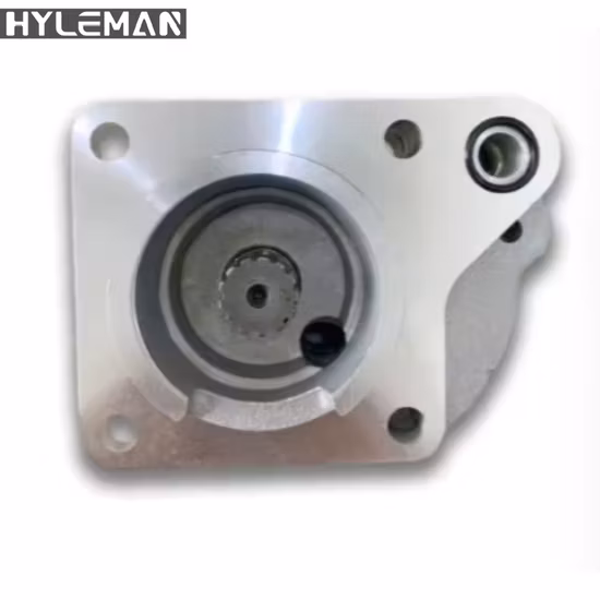 Rexroth Hydraulic Pump/Piston Pump/Grease Pump/Pressure Pump/Oil Pump/Vane Pump/ Gear Pump/Excavator Pump for A2fo/A2FM/A4V/A6vm/A7V/A10V/A11V